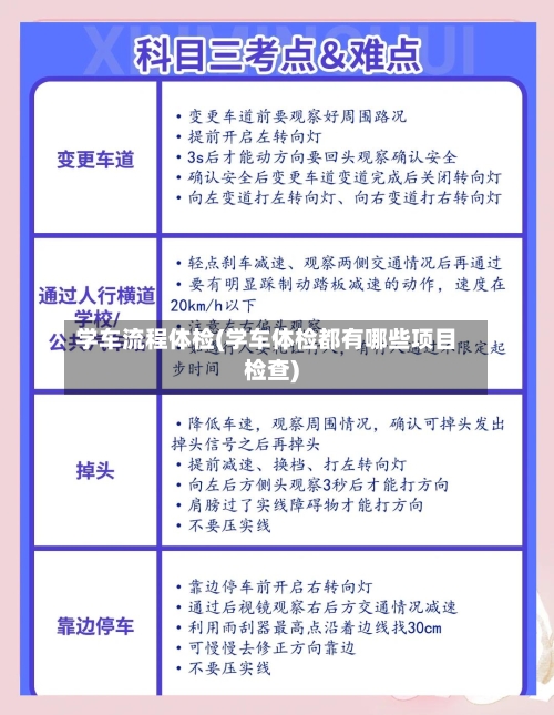 学车流程体检(学车体检都有哪些项目检查)-第2张图片