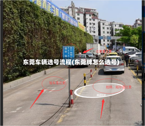 东莞车辆选号流程(东莞牌怎么选号)-第3张图片