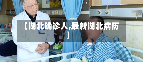 【湖北确诊人,最新湖北病历】-第2张图片