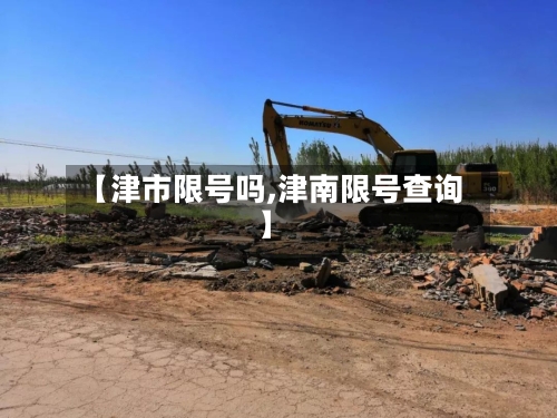 【津市限号吗,津南限号查询】-第3张图片