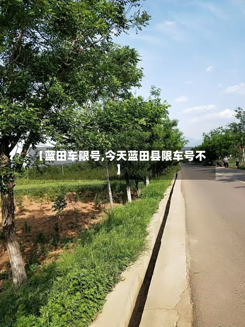 【蓝田车限号,今天蓝田县限车号不】