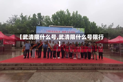 【武清限什么号,武清限什么号限行】-第2张图片