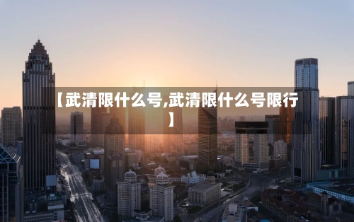 【武清限什么号,武清限什么号限行】