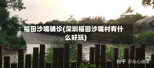 福田沙嘴确诊(深圳福田沙嘴村有什么好玩)-第3张图片
