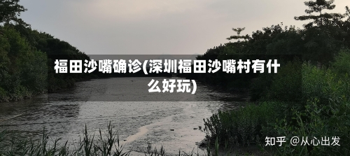福田沙嘴确诊(深圳福田沙嘴村有什么好玩)-第2张图片