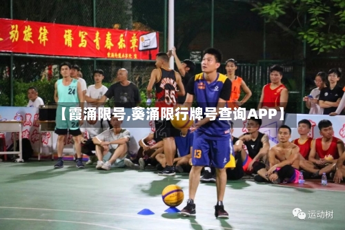 【霞涌限号,葵涌限行牌号查询APP】