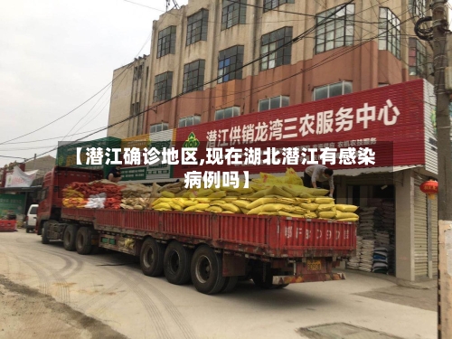 【潜江确诊地区,现在湖北潜江有感染病例吗】-第2张图片