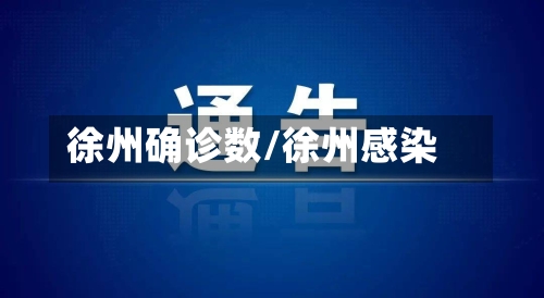 徐州确诊数/徐州感染