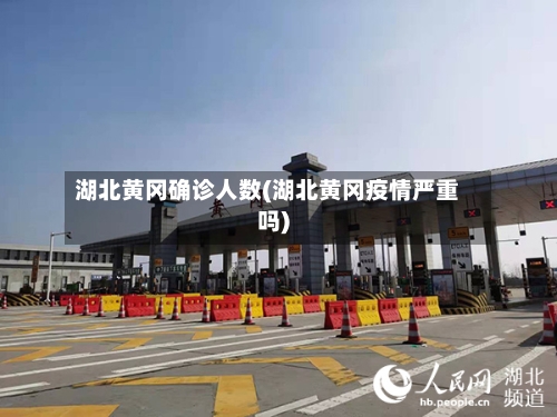 湖北黄冈确诊人数(湖北黄冈疫情严重吗)-第2张图片