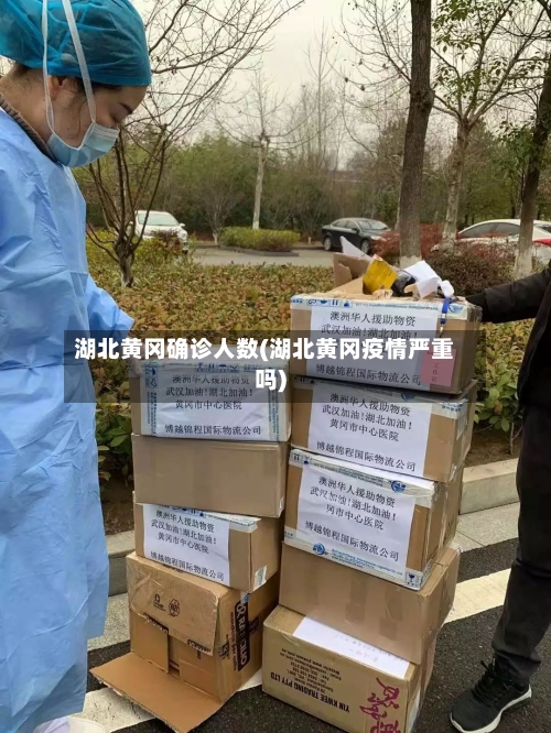 湖北黄冈确诊人数(湖北黄冈疫情严重吗)-第3张图片