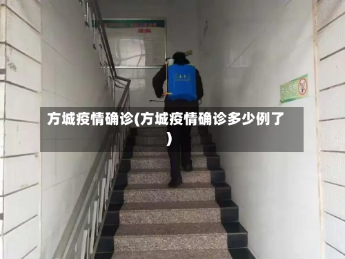方城疫情确诊(方城疫情确诊多少例了)-第2张图片