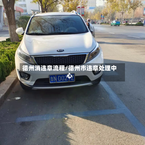 德州消违章流程/德州市违章处理中心