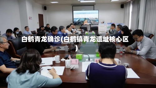 白鹤青龙确诊(白鹤镇青龙遗址核心区)-第2张图片
