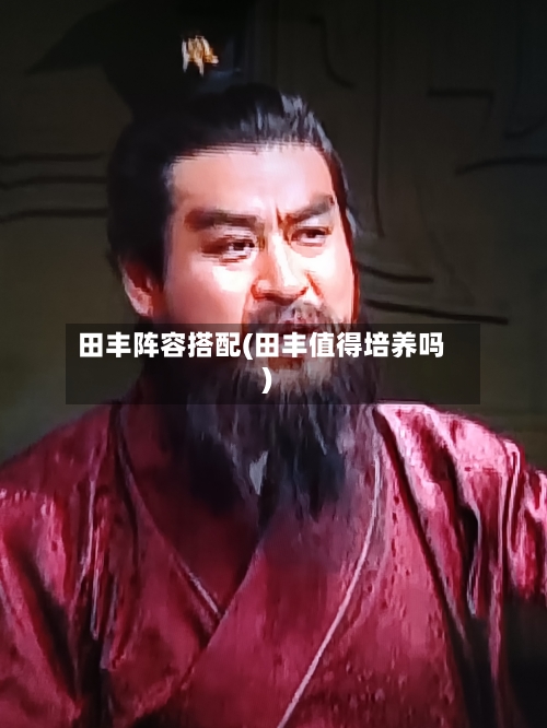 田丰阵容搭配(田丰值得培养吗)