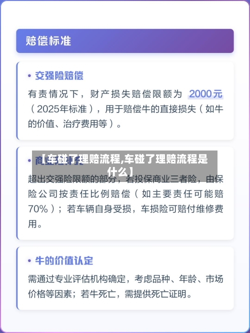 【车碰了理赔流程,车碰了理赔流程是什么】