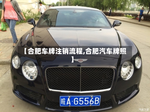 【合肥车牌注销流程,合肥汽车牌照】-第2张图片
