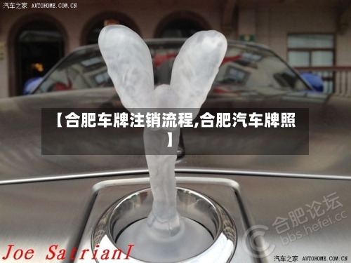 【合肥车牌注销流程,合肥汽车牌照】-第3张图片