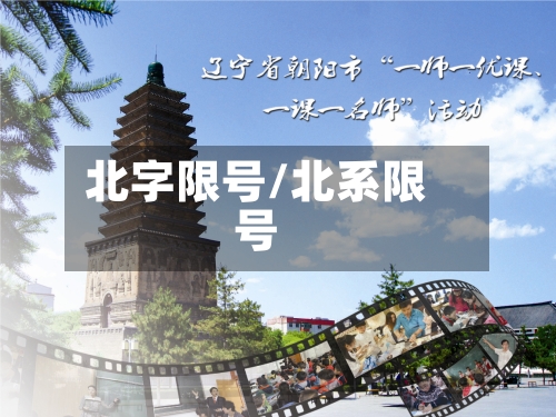 北字限号/北系限号-第3张图片