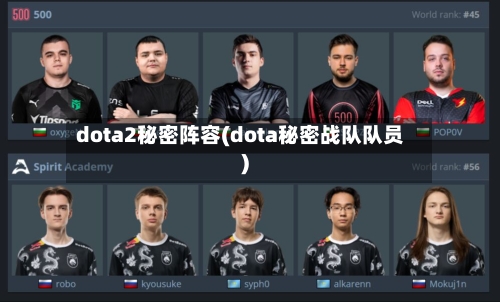 dota2秘密阵容(dota秘密战队队员)