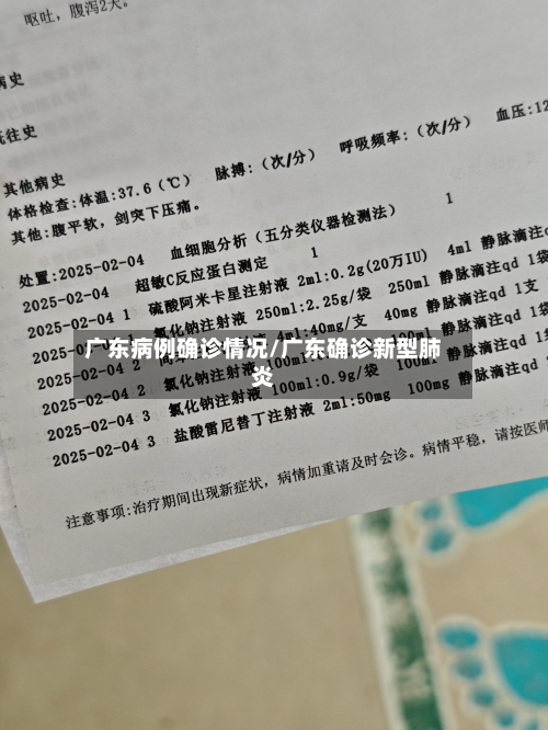 广东病例确诊情况/广东确诊新型肺炎-第2张图片