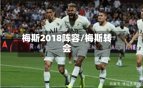 梅斯2018阵容/梅斯转会-第2张图片