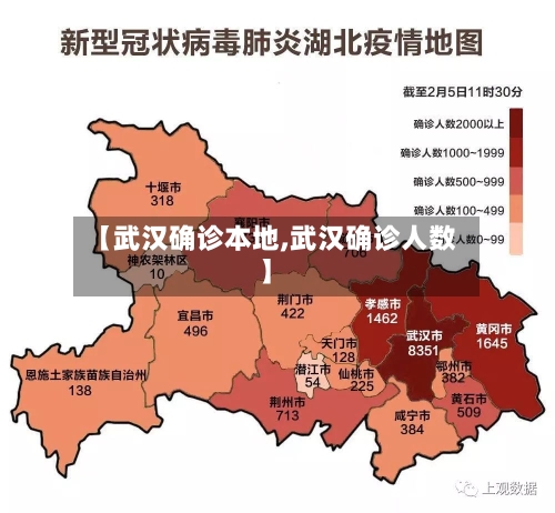 【武汉确诊本地,武汉确诊人数】