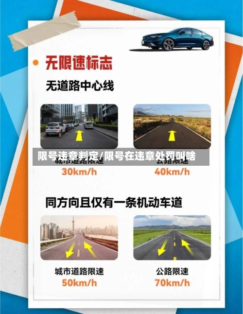 限号违章判定/限号在违章处罚叫啥-第2张图片