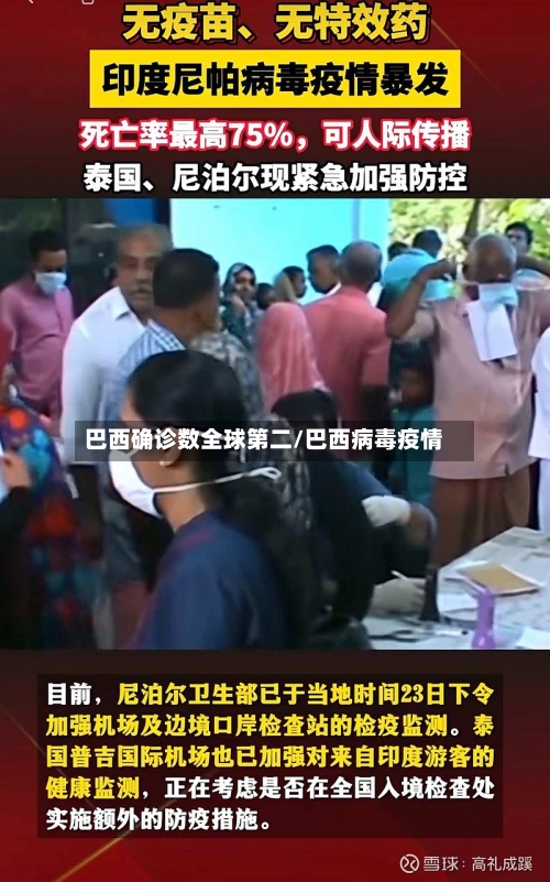 巴西确诊数全球第二/巴西病毒疫情