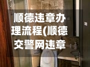 顺德违章办理流程(顺德交警网违章查询)