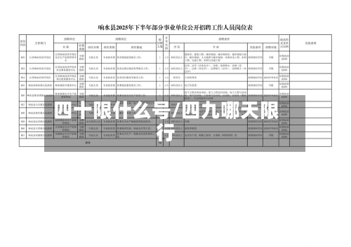 四十限什么号/四九哪天限行