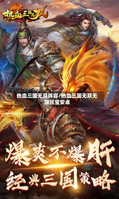 热血三国无双阵容/热血三国无双无限元宝安卓-第2张图片