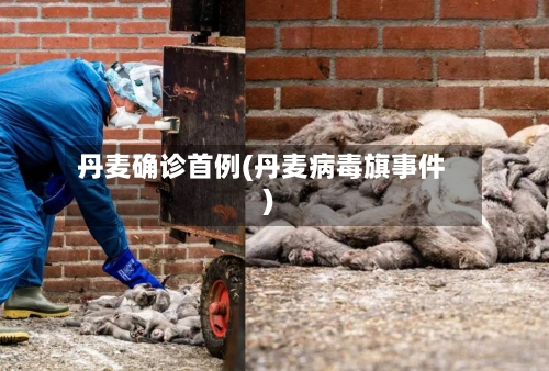 丹麦确诊首例(丹麦病毒旗事件)