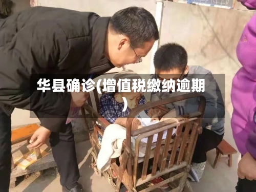 华县确诊(增值税缴纳逾期)-第2张图片