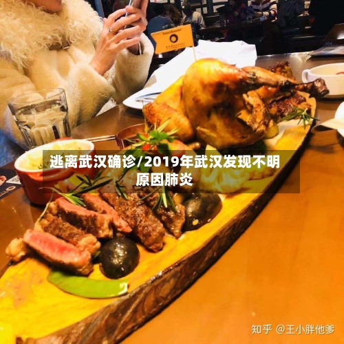 逃离武汉确诊/2019年武汉发现不明原因肺炎