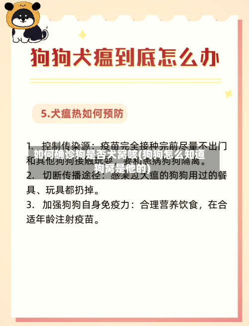 如何确诊狗是否犬窝咳(狗狗怎么知道狗窝是他的)-第2张图片