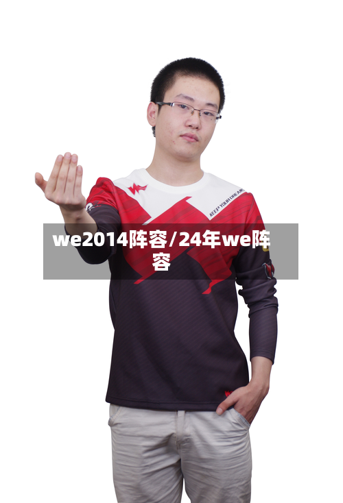 we2014阵容/24年we阵容