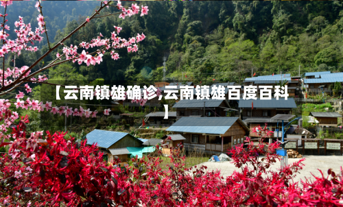 【云南镇雄确诊,云南镇雄百度百科】-第2张图片