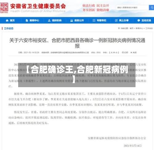 【合肥确诊王,合肥新冠病例】-第2张图片
