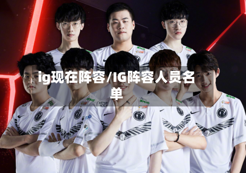 ig现在阵容/IG阵容人员名单-第2张图片