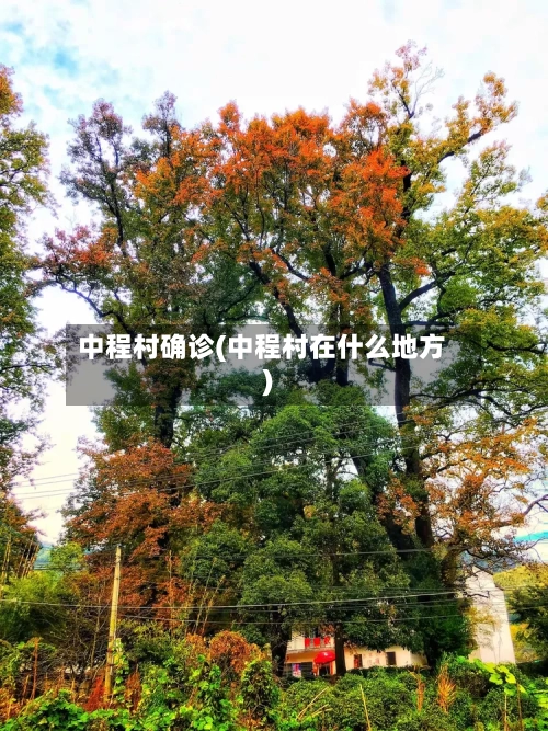 中程村确诊(中程村在什么地方)-第2张图片