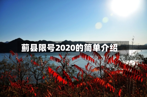 蓟县限号2020的简单介绍-第2张图片