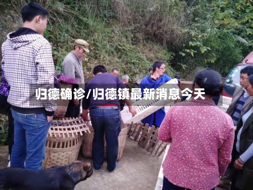归德确诊/归德镇最新消息今天