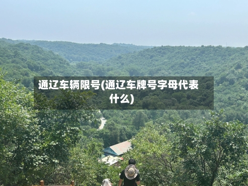 通辽车辆限号(通辽车牌号字母代表什么)-第2张图片