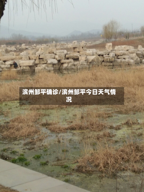 滨州邹平确诊/滨州邹平今日天气情况