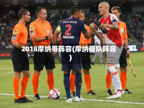 2018摩纳哥阵容(摩纳哥队阵容)-第2张图片
