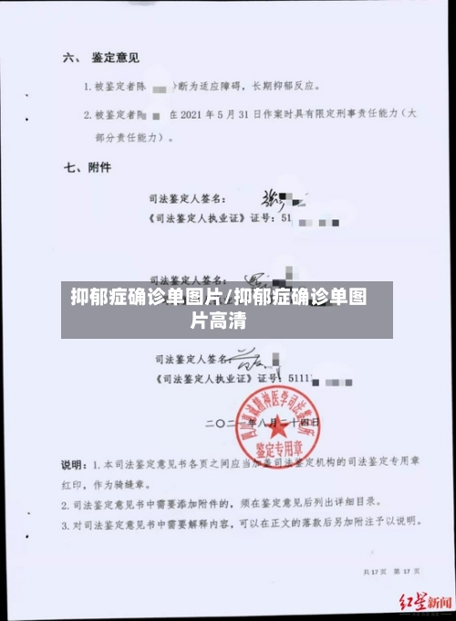 抑郁症确诊单图片/抑郁症确诊单图片高清-第2张图片