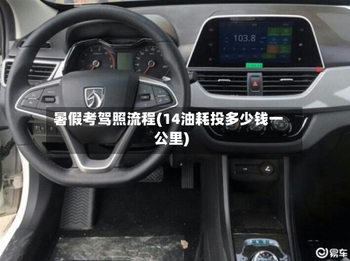 暑假考驾照流程(14油耗投多少钱一公里)-第3张图片