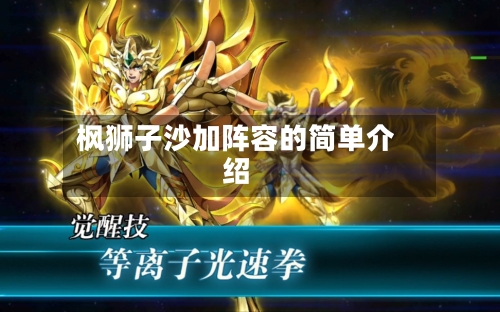 枫狮子沙加阵容的简单介绍-第2张图片
