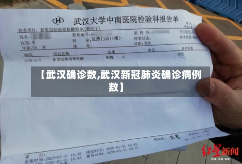 【武汉确诊数,武汉新冠肺炎确诊病例数】