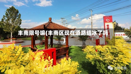 丰南限号嘛(丰南区现在道路结冰了吗)